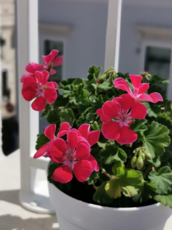 Apartament Casa Chiara Monopoli Zewnętrze zdjęcie